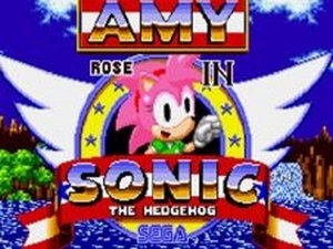 Pink Hedgehog Speed Dash