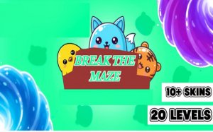 Break the Maze: Puzzle Escape Adventure