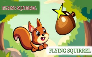 Flying Squirrel: Blocks Target Puzzle