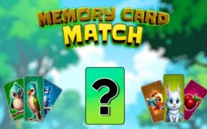 Animal Picture Memory Match